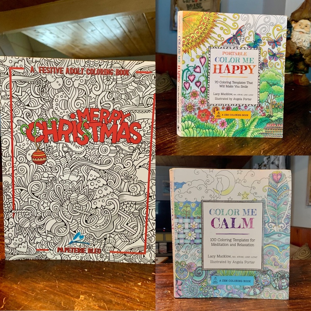 Bundle of 3 adult coloring books